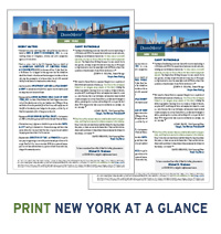 New York Office at a Glance