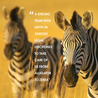 A strong team with depth in various legal disciplines to take care of us from Alligator to Zebra