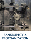 Business Reorganization and Financial Restructuring