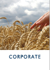 Corporate