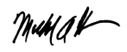 Michael Gillen signature